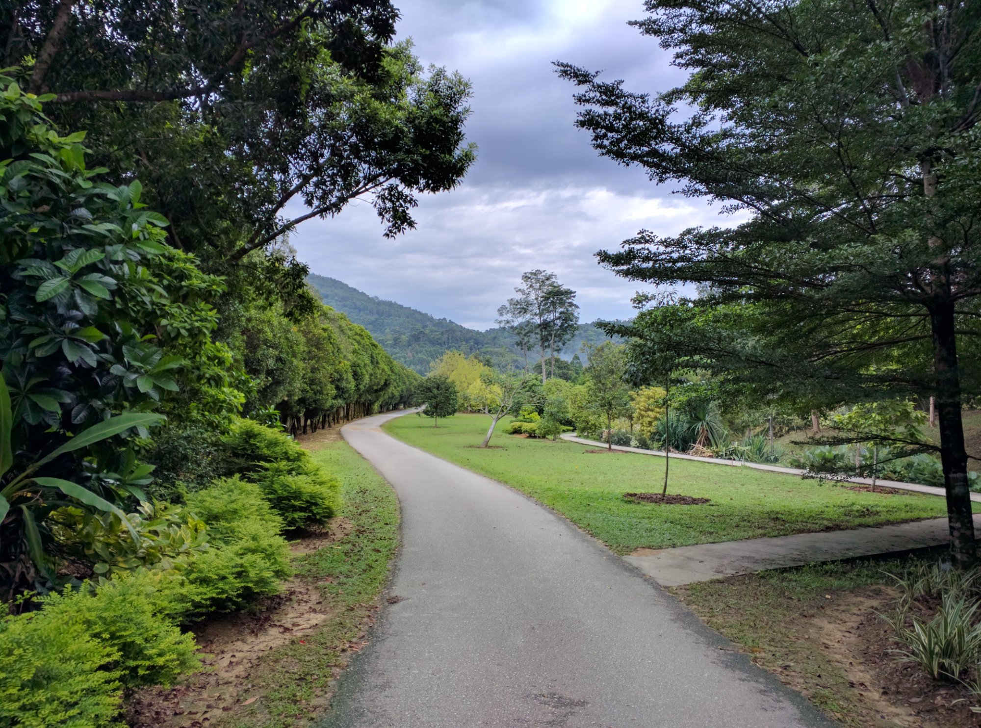 Stress & Dépression